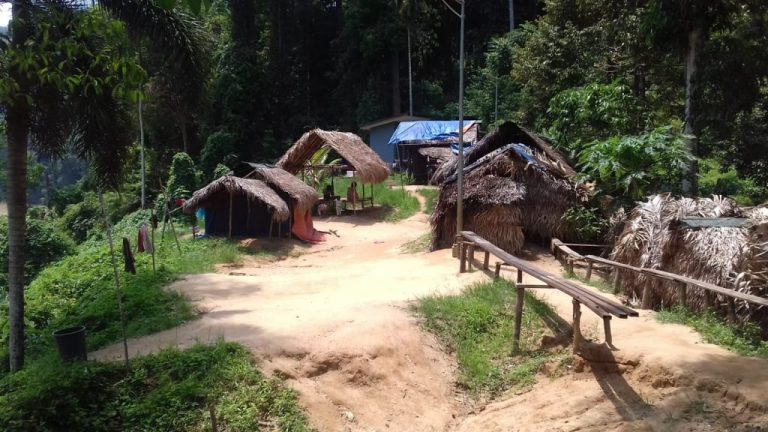Batek Siedlung im Regenwald